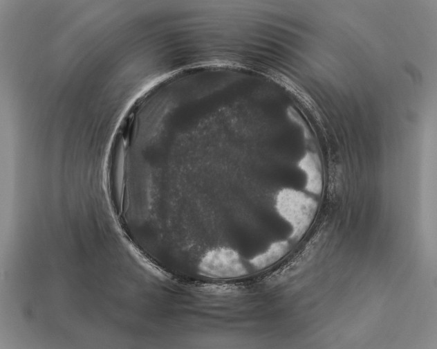 X0000113011037200909241348