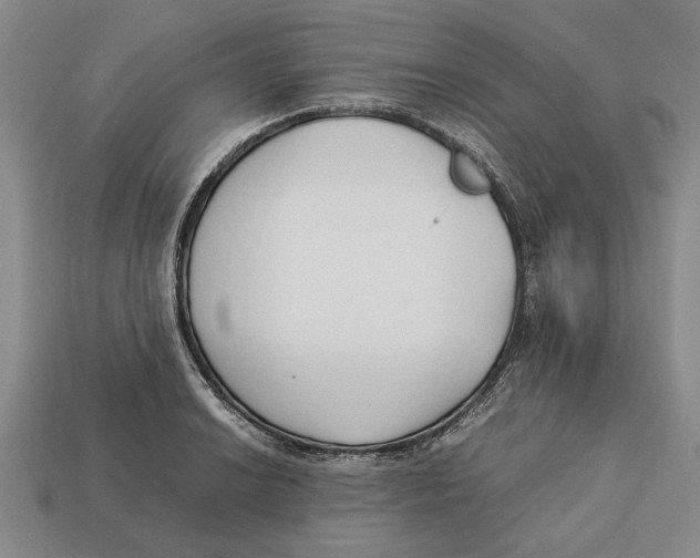 X0000113011038200909241348
