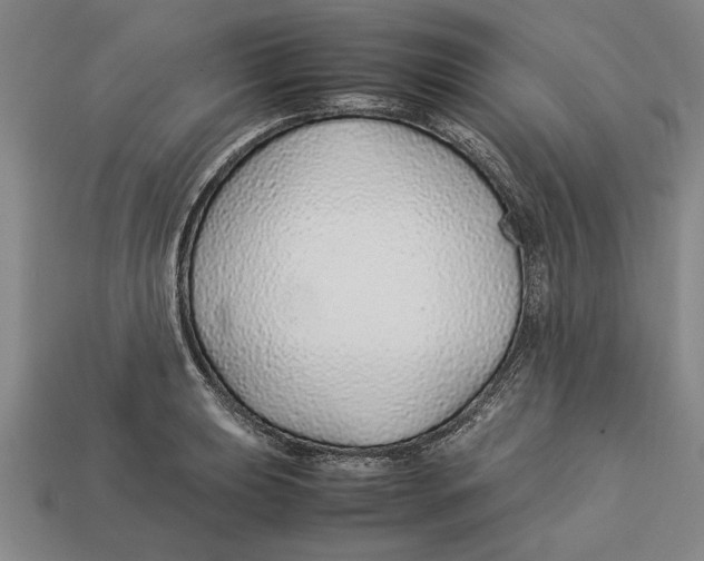 X0000113011039200909241348
