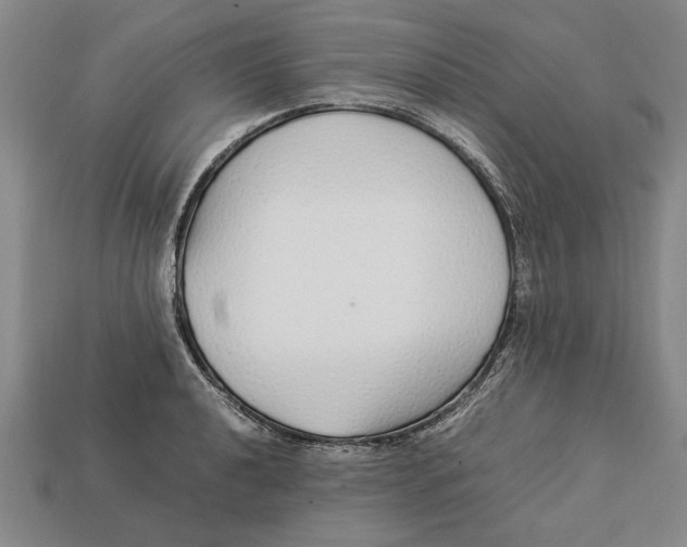 X0000113011040200909241348
