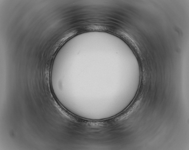 X0000113011041200909241348