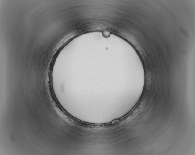 X0000113011042200909241348