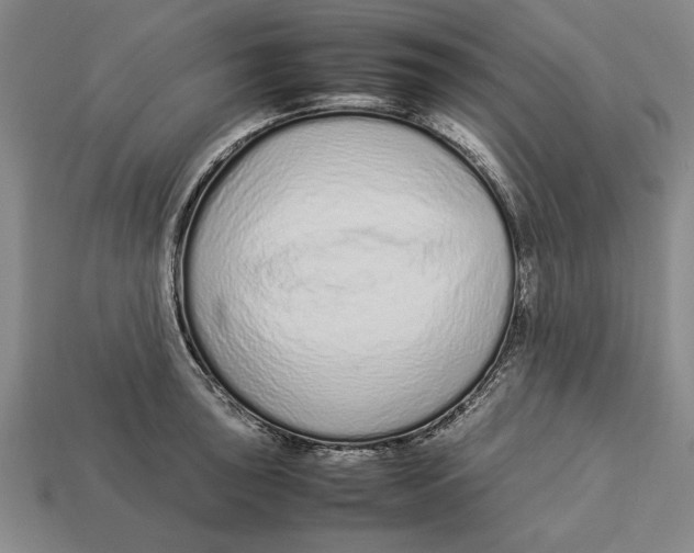 X0000113011043200909241348
