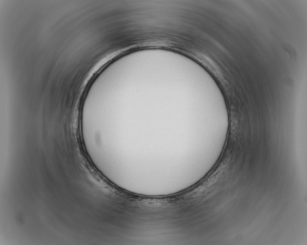 X0000113011044200909241348