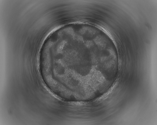 X0000113011045200909241348