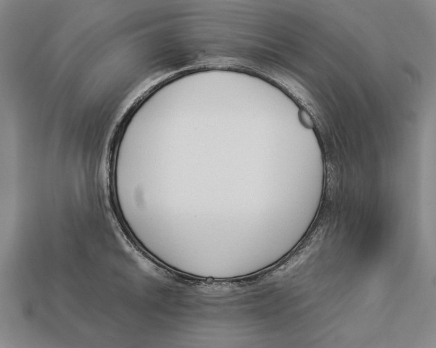 X0000113011046200909241348