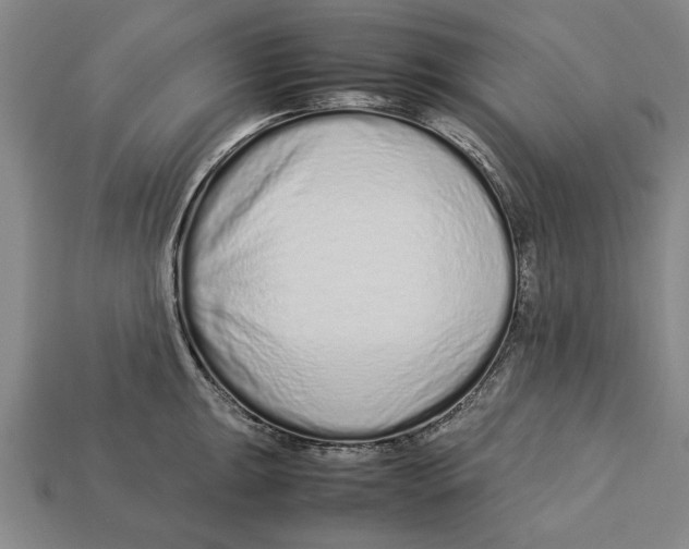 X0000113011047200909241348