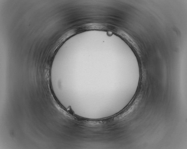 X0000113011049200909241348