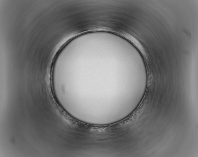 X0000113011051200909241348