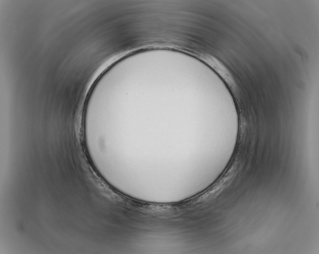 X0000113011052200909241348