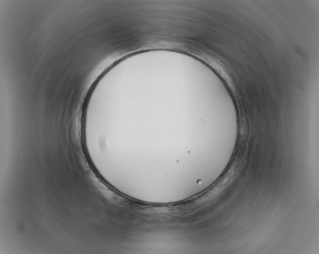 X0000113011054200909241348