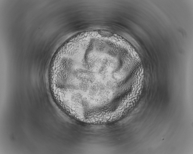 X0000113011055200909241348