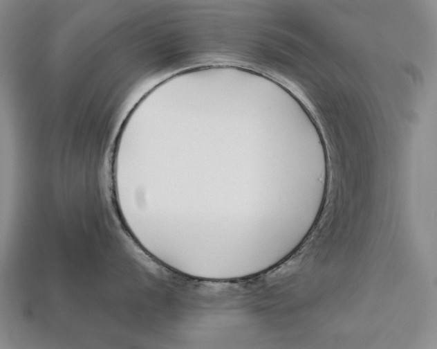 X0000113011056200909241348