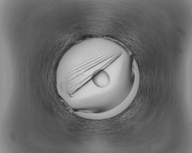 X0000113011057200909241347