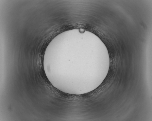 X0000113011058200909241347