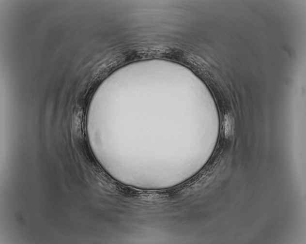 X0000113011059200909241347