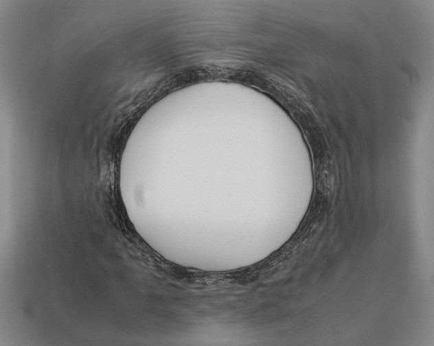 X0000113011061200909241347