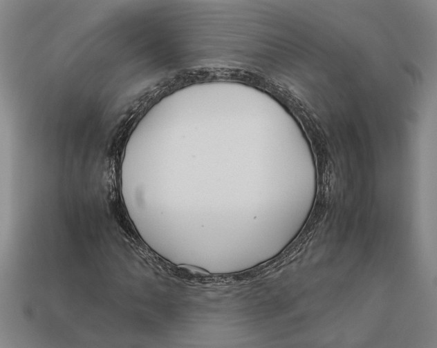 X0000113011062200909241347
