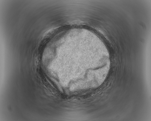 X0000113011063200909241347