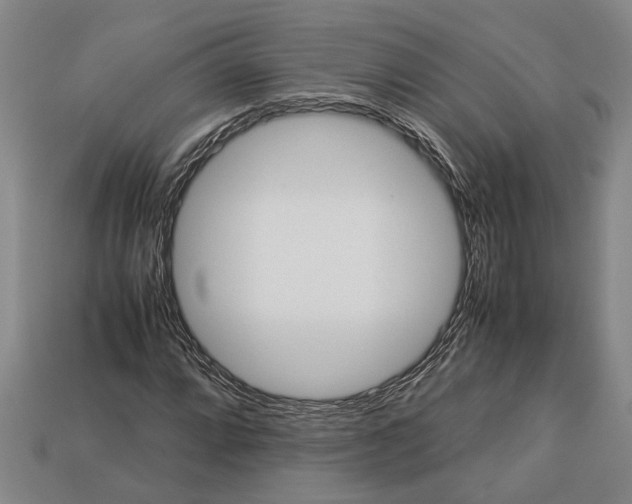 X0000113011064200909241347