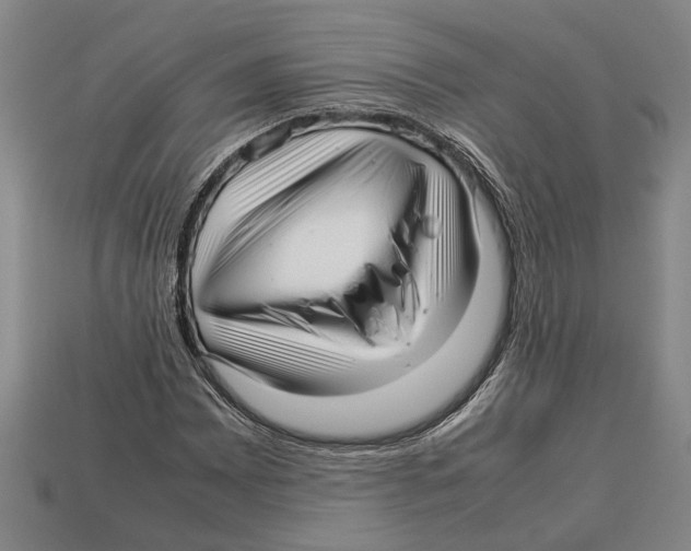 X0000113011065200909241347