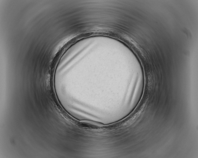 X0000113011066200909241347