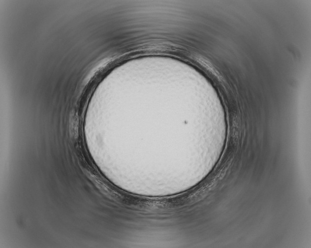 X0000113011067200909241347