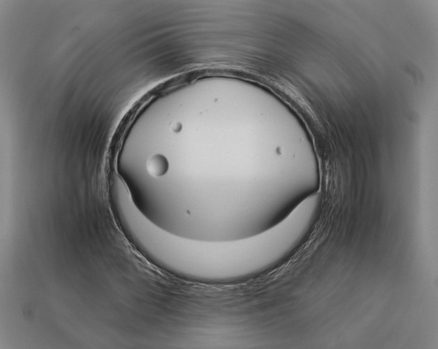 X0000113011068200909241347