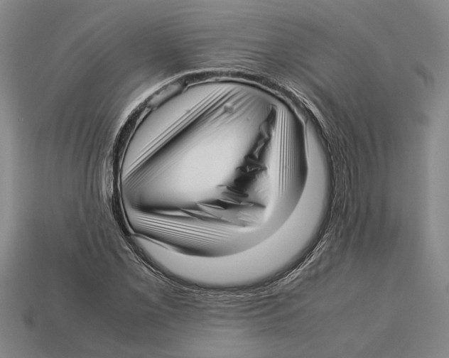 X0000113011069200909241347