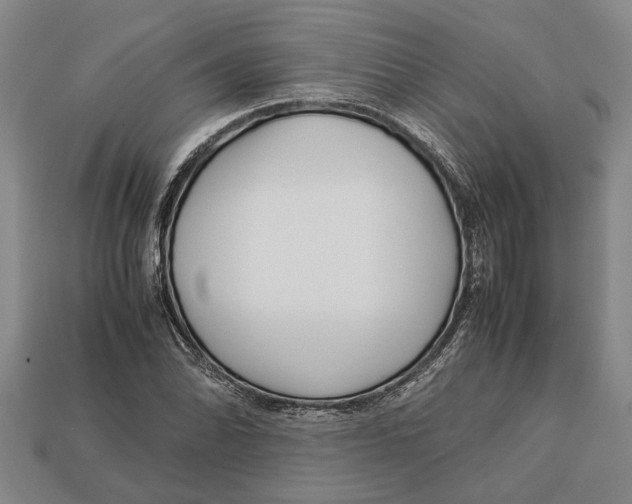 X0000113011070200909241347
