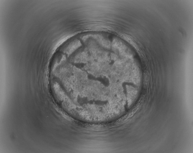 X0000113011071200909241347