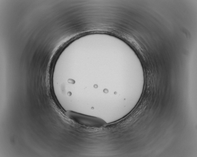 X0000113011072200909241347