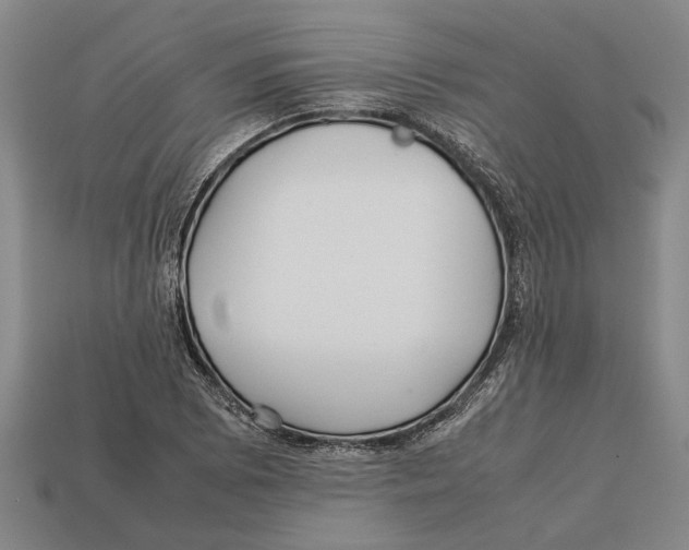 X0000113011073200909241347