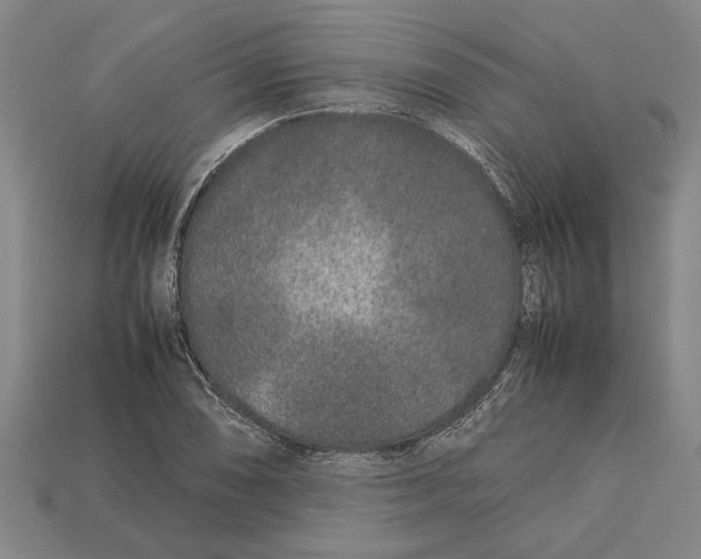 X0000113011074200909241347