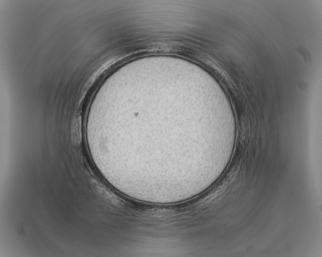 X0000113011075200909241347