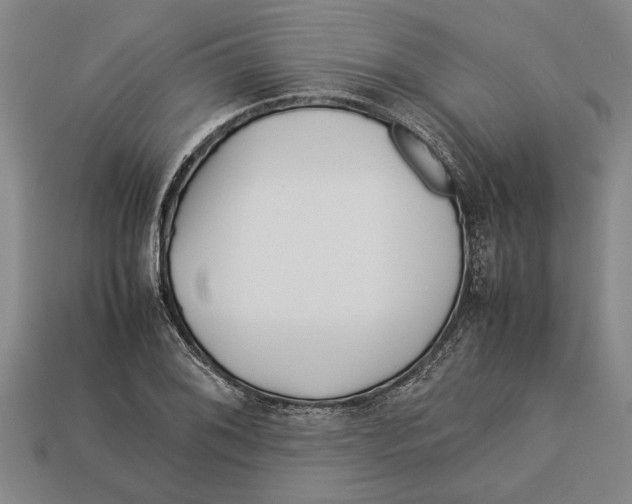 X0000113011076200909241347