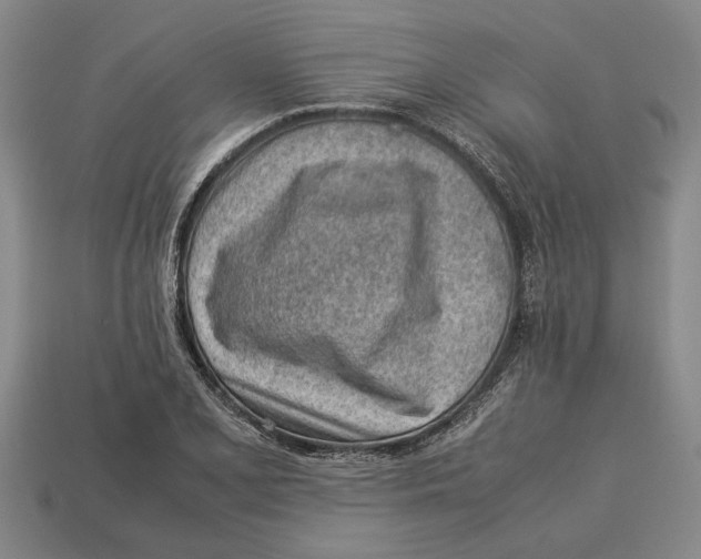 X0000113011077200909241347