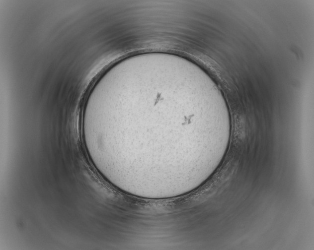 X0000113011078200909241347