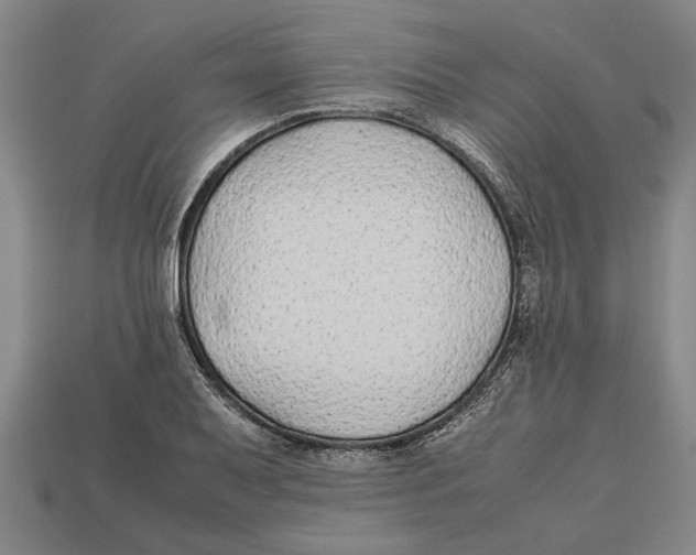 X0000113011079200909241347