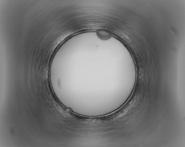 X0000113011081200909241347