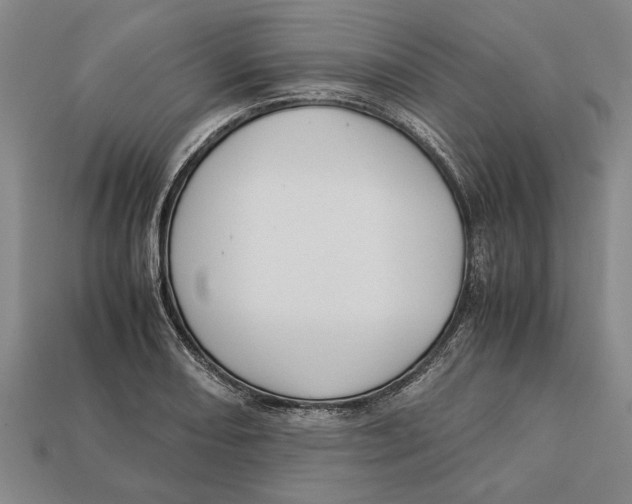 X0000113011082200909241347