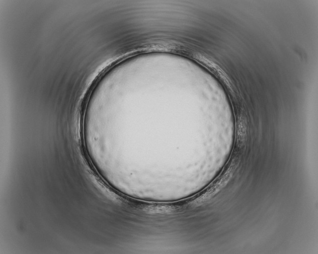 X0000113011083200909241347