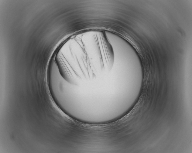 X0000113011084200909241347