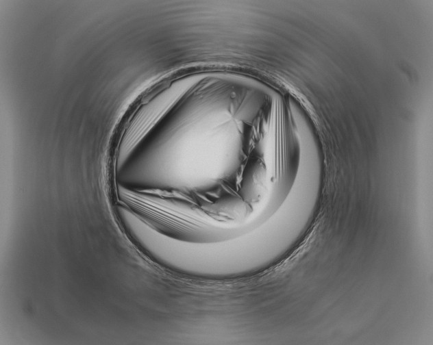 X0000113011085200909241347
