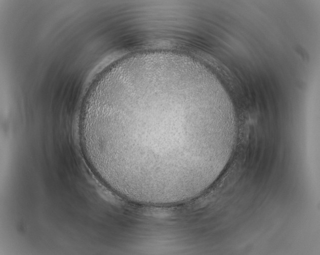 X0000113011086200909241347