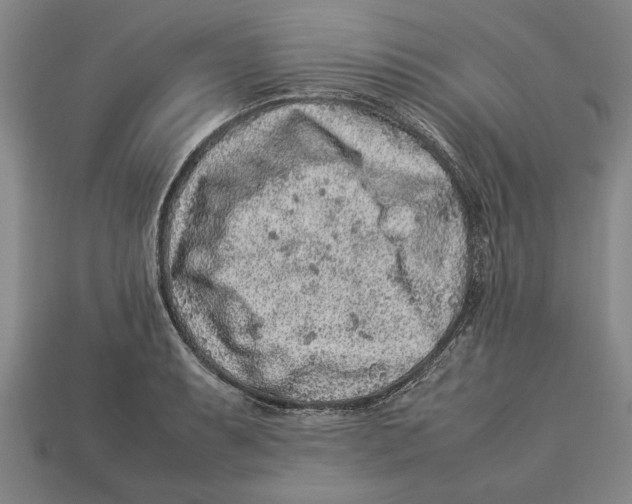 X0000113011087200909241347