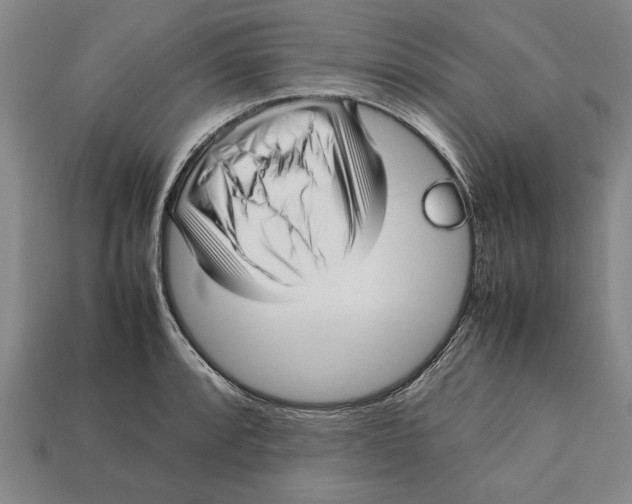 X0000113011088200909241347