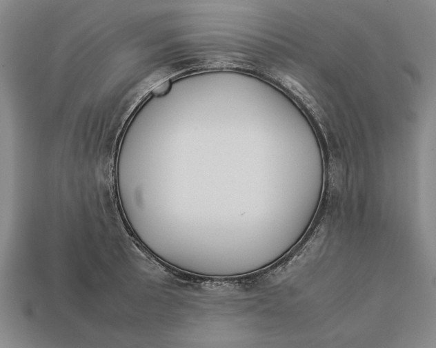X0000113011089200909241347