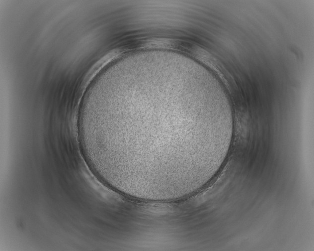 X0000113011090200909241347