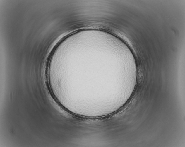 X0000113011091200909241347